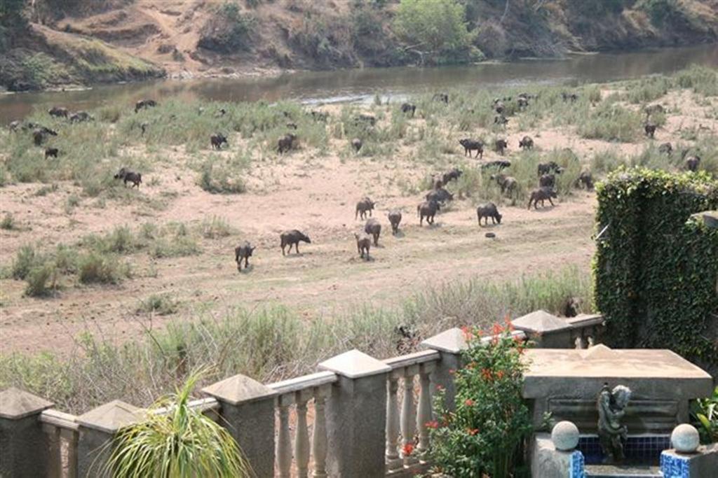 فندق دار ضيافة بيلفيدير أون ريفير ماليلين المظهر الخارجي الصورة
